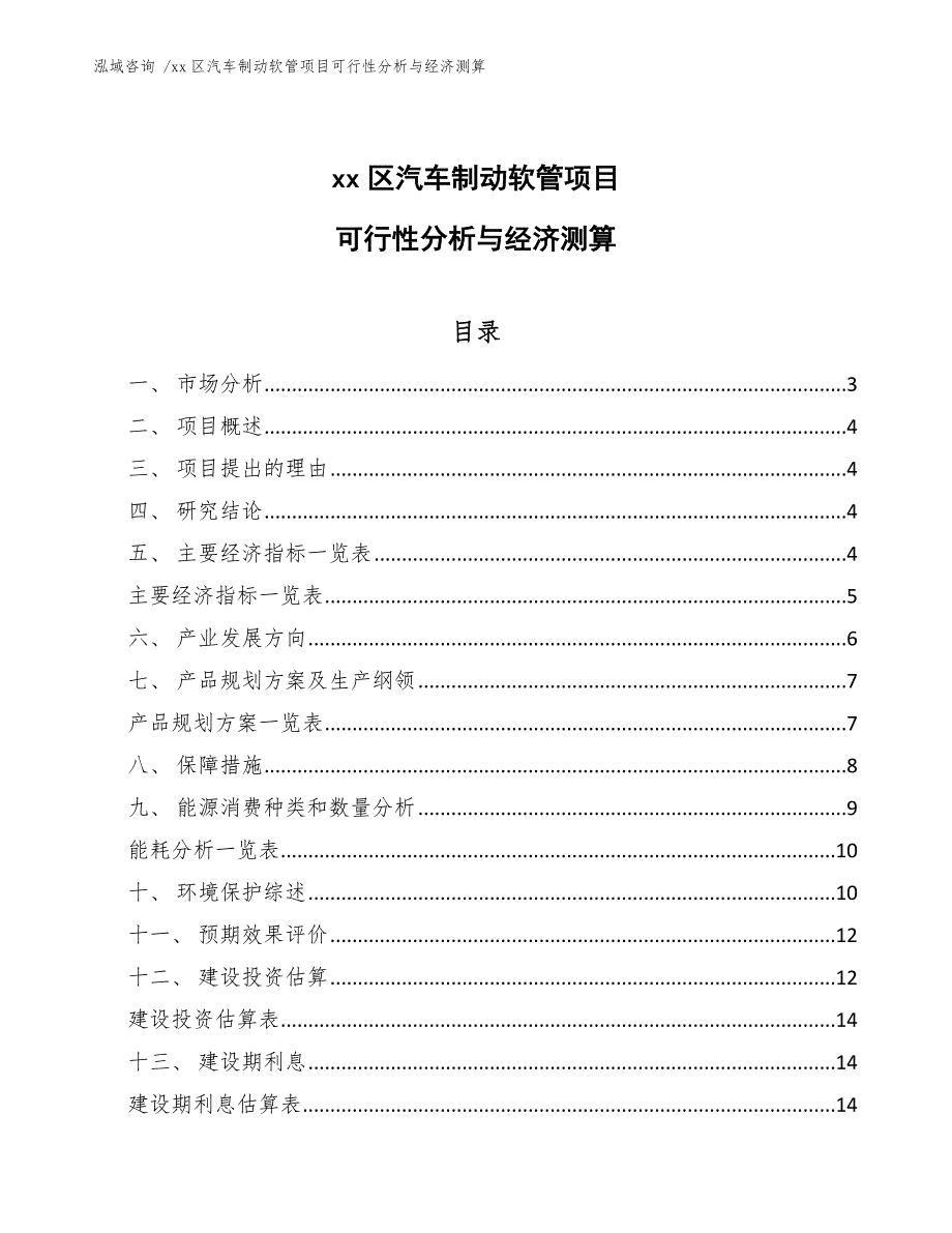 xx区汽车制动软管项目可行性分析与经济测算（模板参考）_第1页