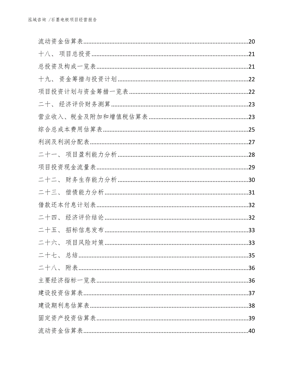 石墨电极项目经营报告（模板范本）_第2页