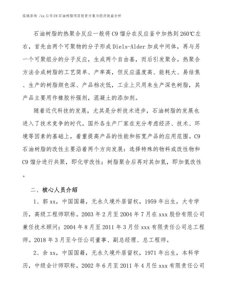 xx公司C9石油树脂项目投资方案与经济效益分析（模板参考）_第5页