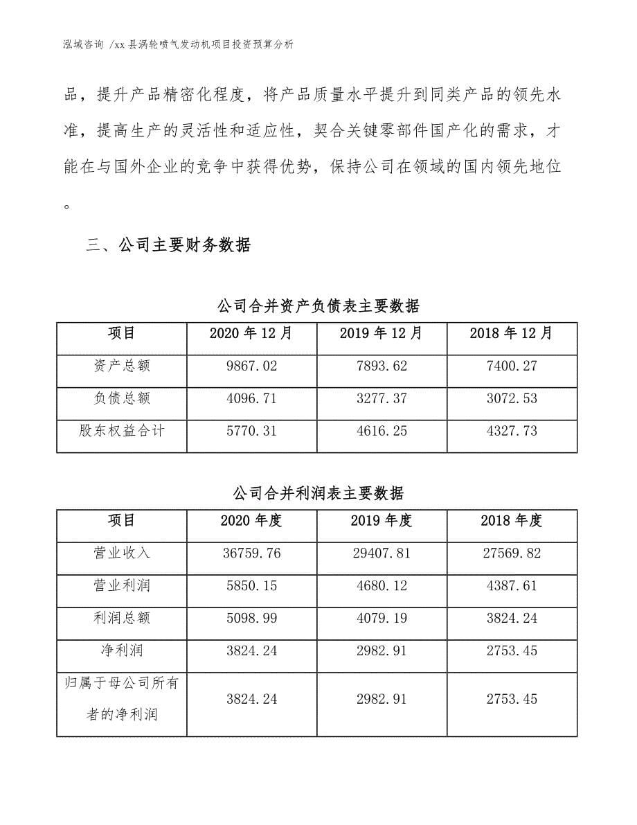 xx县涡轮喷气发动机项目投资预算分析（范文模板）_第5页