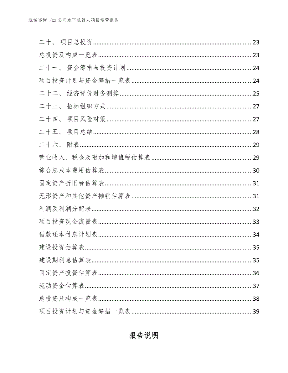 xx公司水下机器人项目运营报告（范文）_第3页