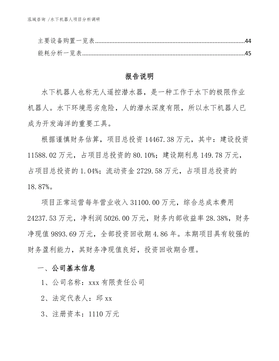 水下机器人项目分析调研（模板范本）_第3页