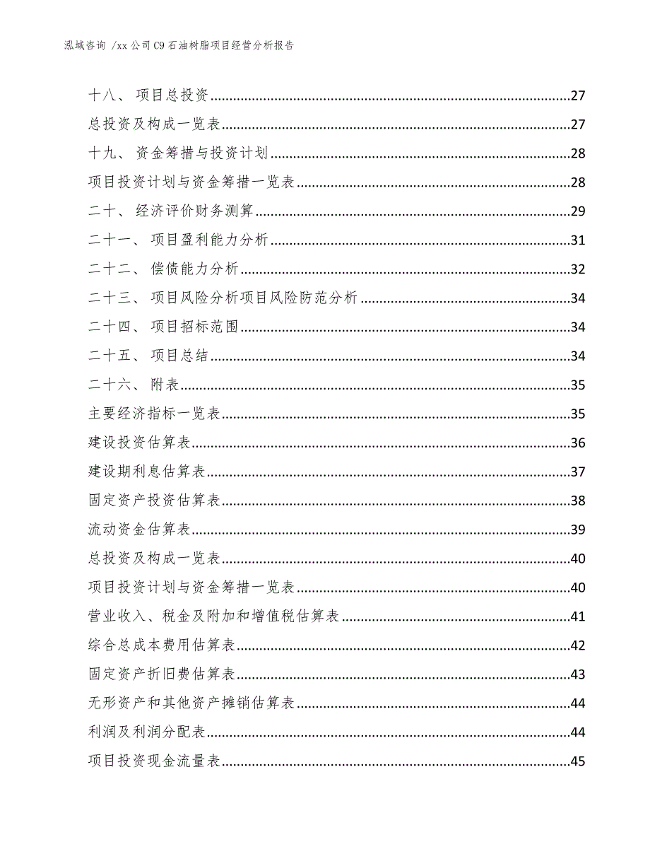 xx公司C9石油树脂项目经营分析报告（范文参考）_第2页