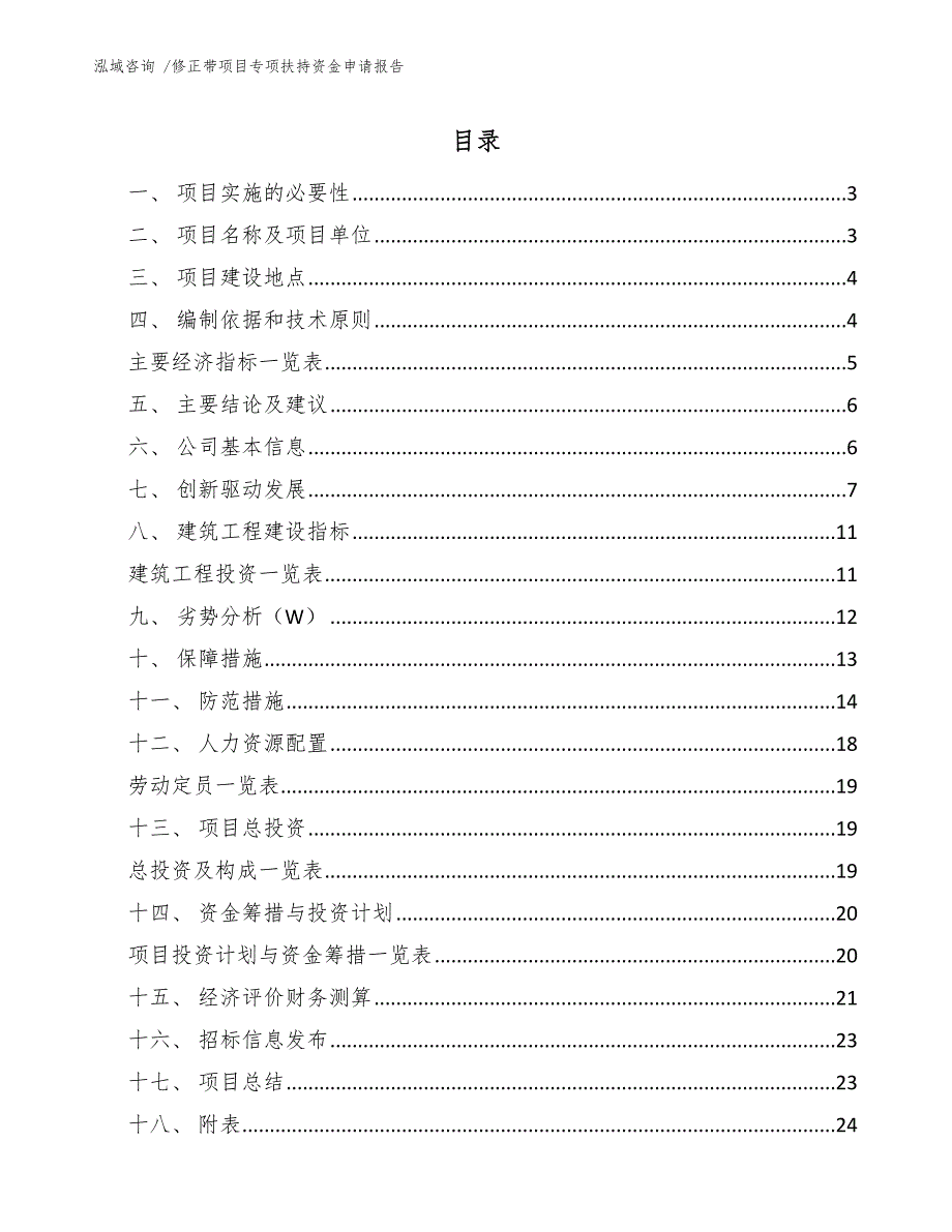 修正带项目专项扶持资金申请报告（模板）_第1页