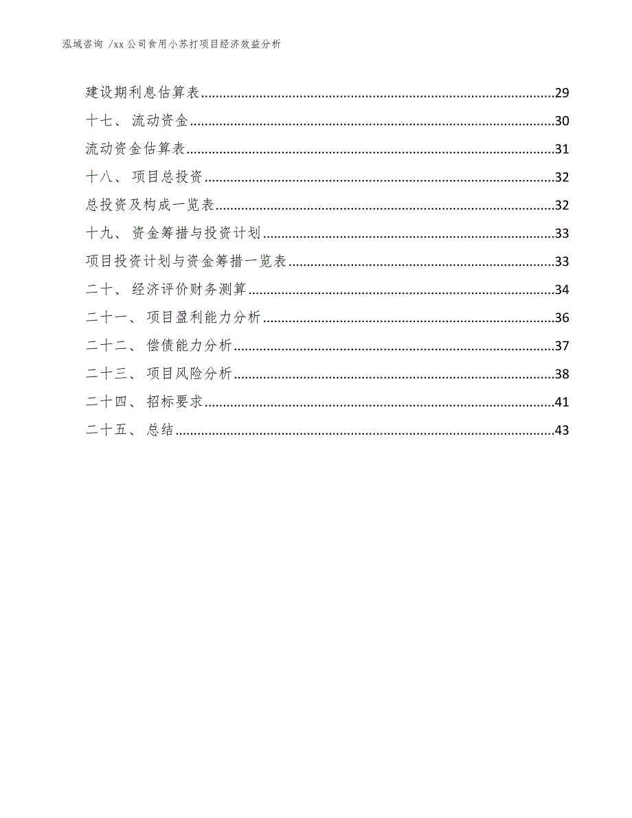 xx公司食用小苏打项目经济效益分析（参考模板）_第3页