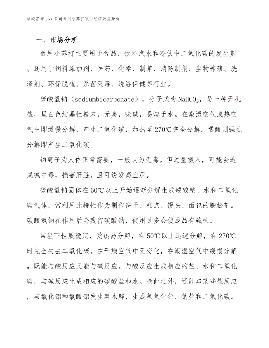 xx公司食用小苏打项目经济效益分析（参考模板）_第4页