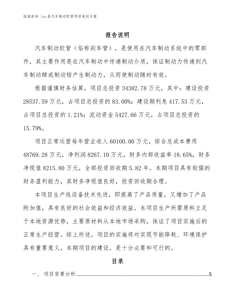 xx县汽车制动软管项目规划（参考模板）_第2页