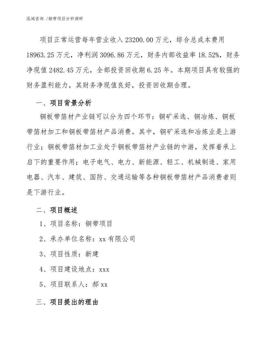 铜带项目分析调研（模板范本）_第4页