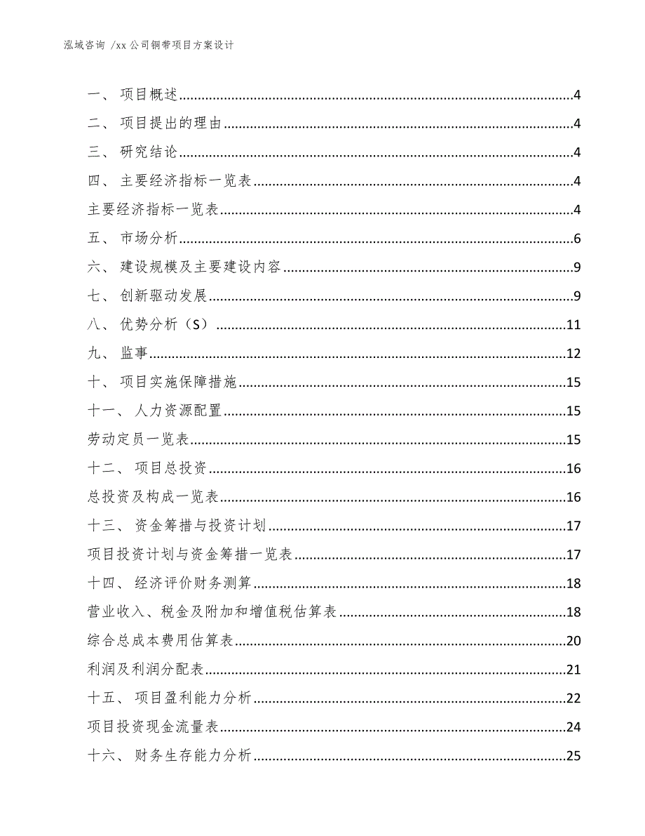 xx公司铜带项目方案设计（范文）_第2页