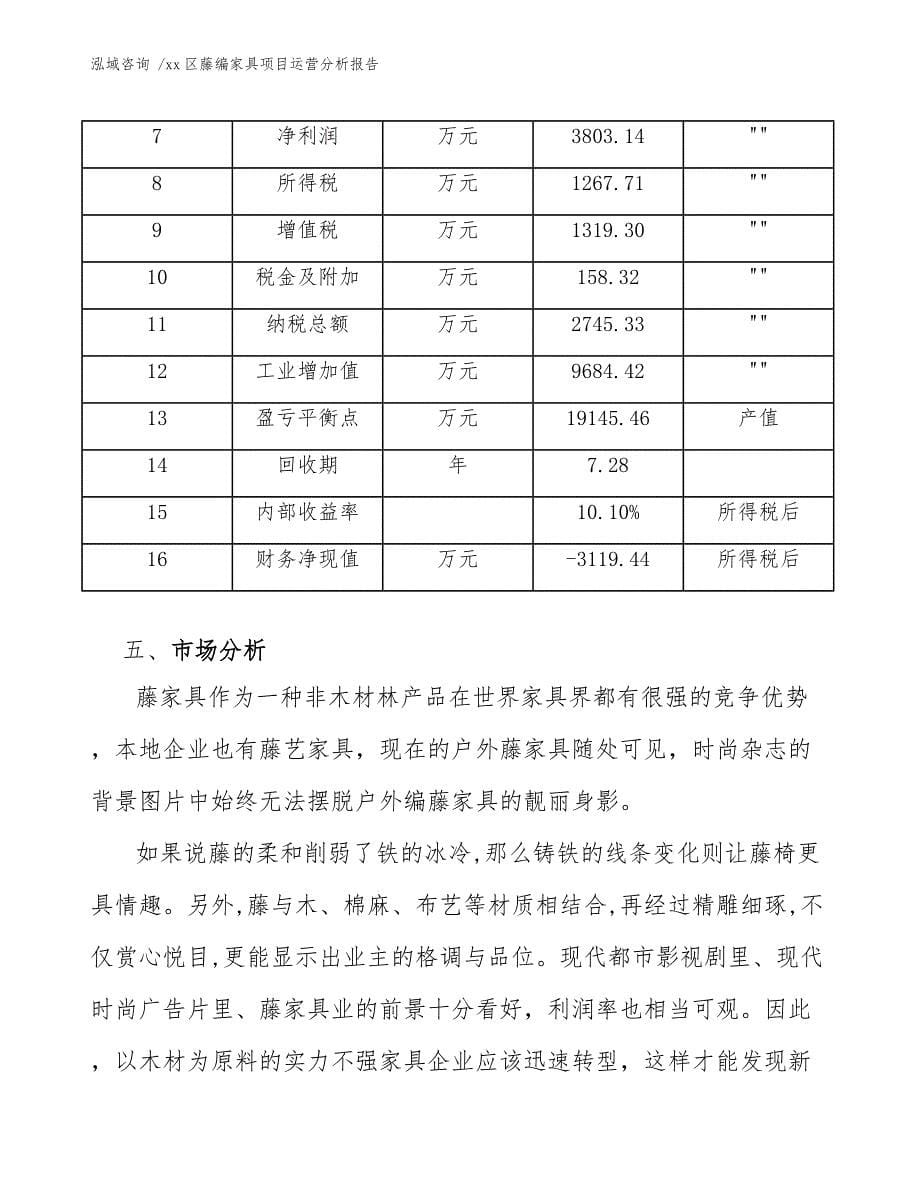 xx区藤编家具项目运营分析报告（范文模板）_第5页