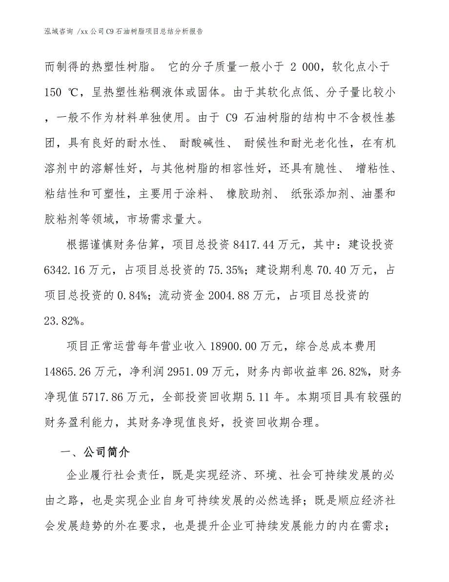 xx公司C9石油树脂项目总结分析报告（模板范本）_第4页