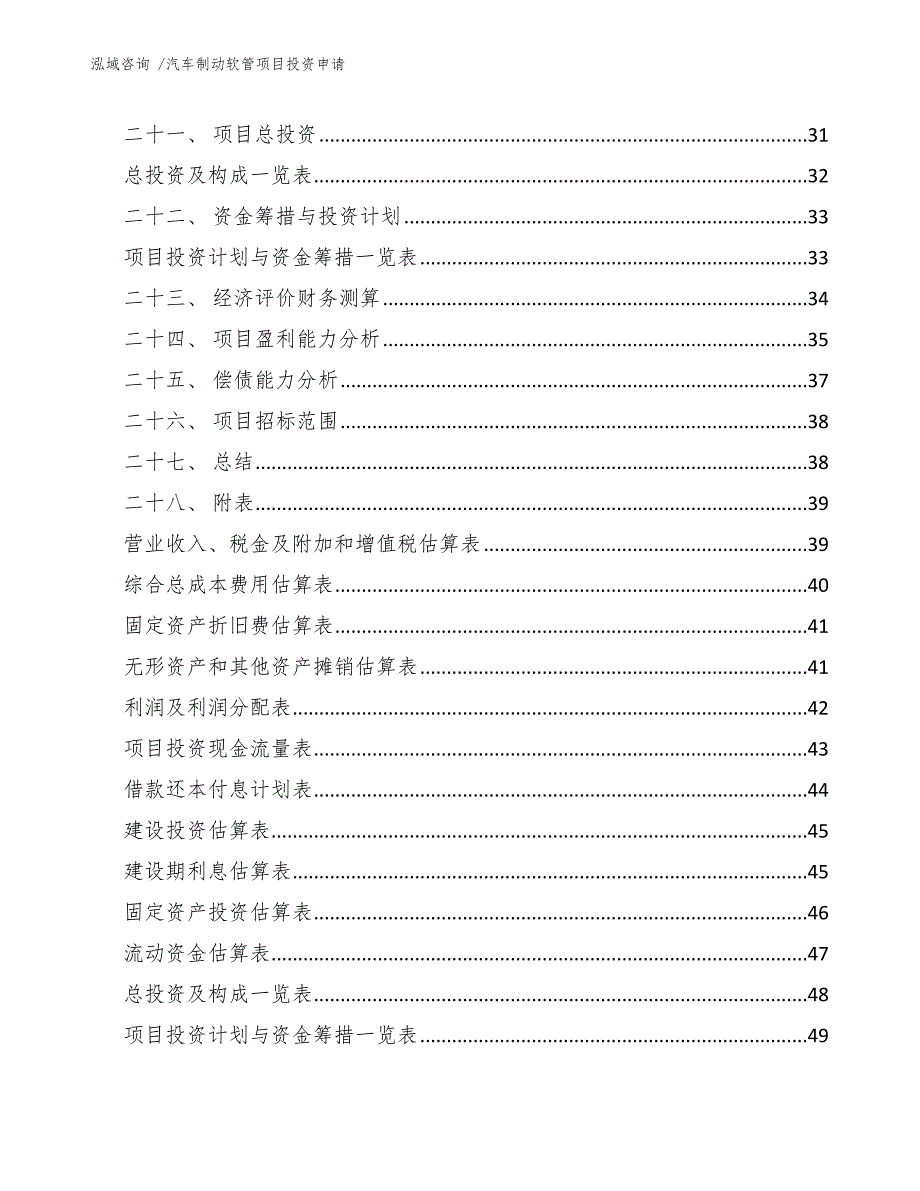 汽车制动软管项目投资申请（范文模板）_第4页