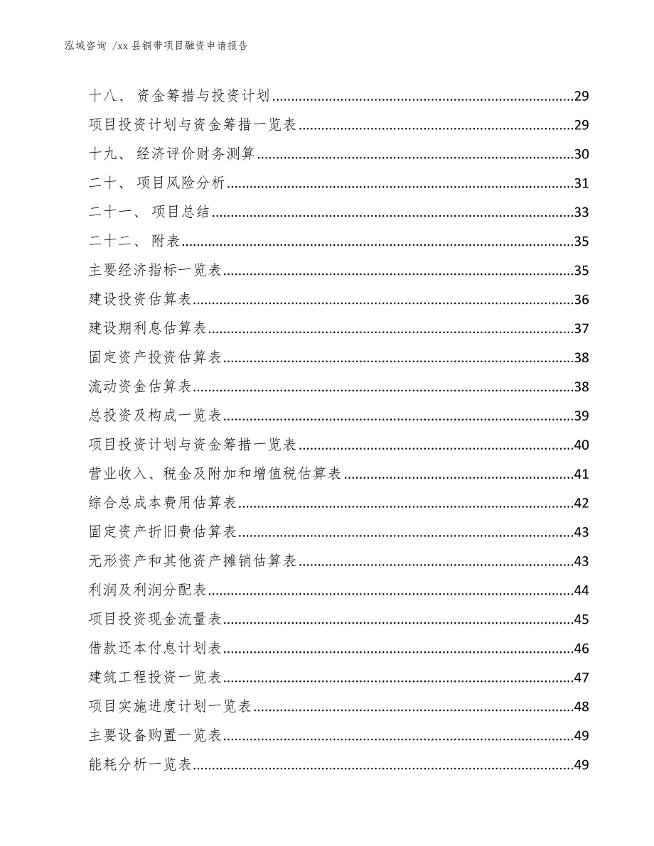 xx县铜带项目融资申请报告（模板范文）_第3页