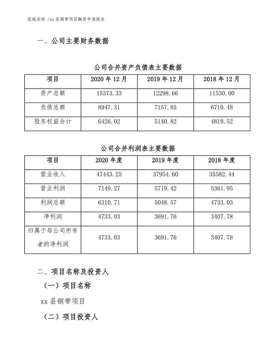 xx县铜带项目融资申请报告（模板范文）_第5页