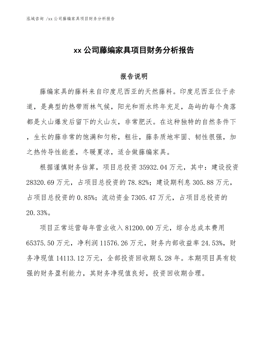 xx公司藤编家具项目财务分析报告（模板范文）_第1页