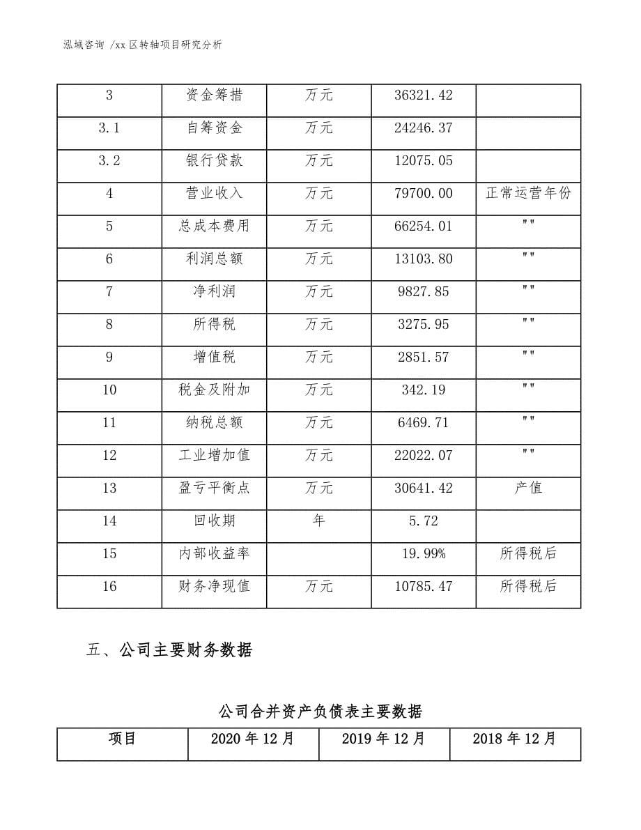 xx区转轴项目研究分析（模板）_第5页