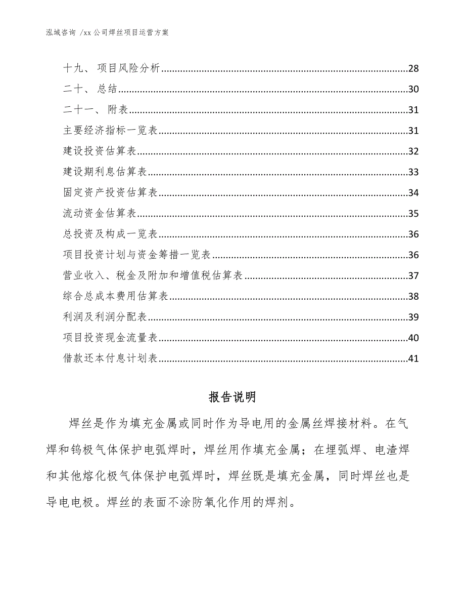 xx公司焊丝项目运营方案（参考模板）_第2页