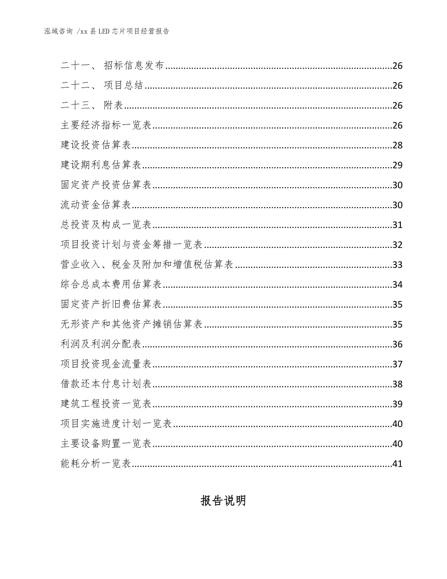 xx县LED芯片项目经营报告（范文参考）_第2页