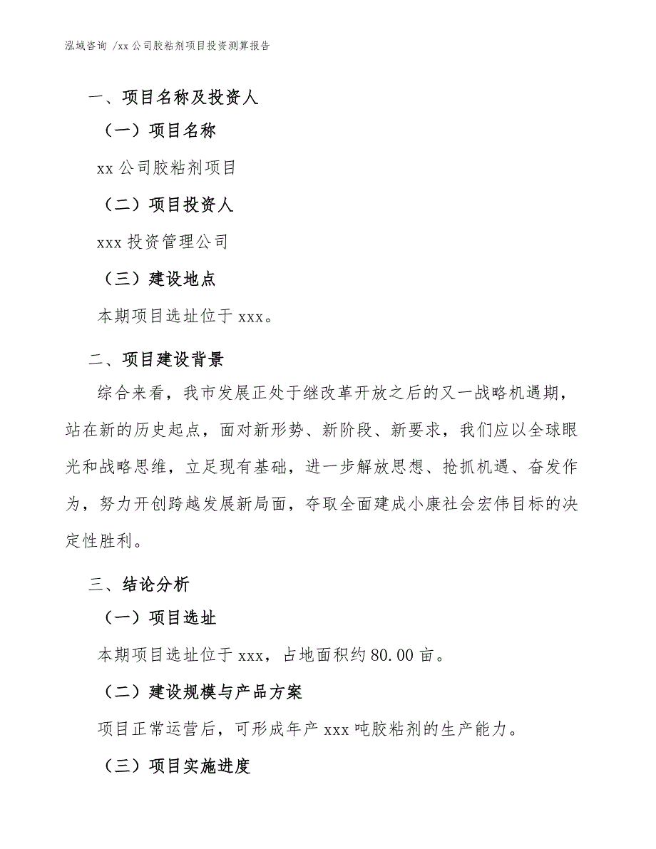 xx公司胶粘剂项目投资测算报告（模板）_第3页