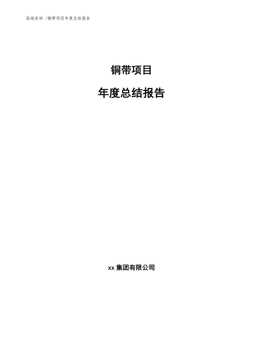 铜带项目年度总结报告（参考模板）_第1页