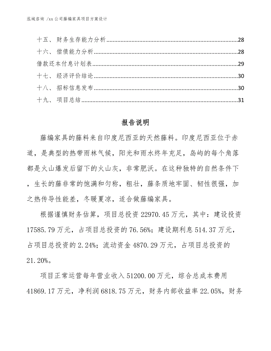 xx公司藤编家具项目方案设计（参考模板）_第2页