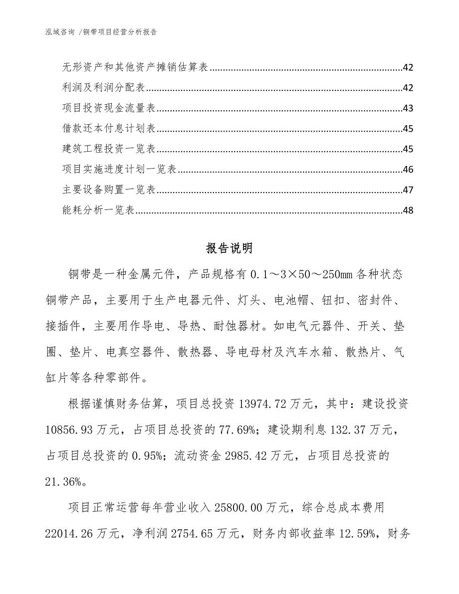 铜带项目经营分析报告（模板）_第3页