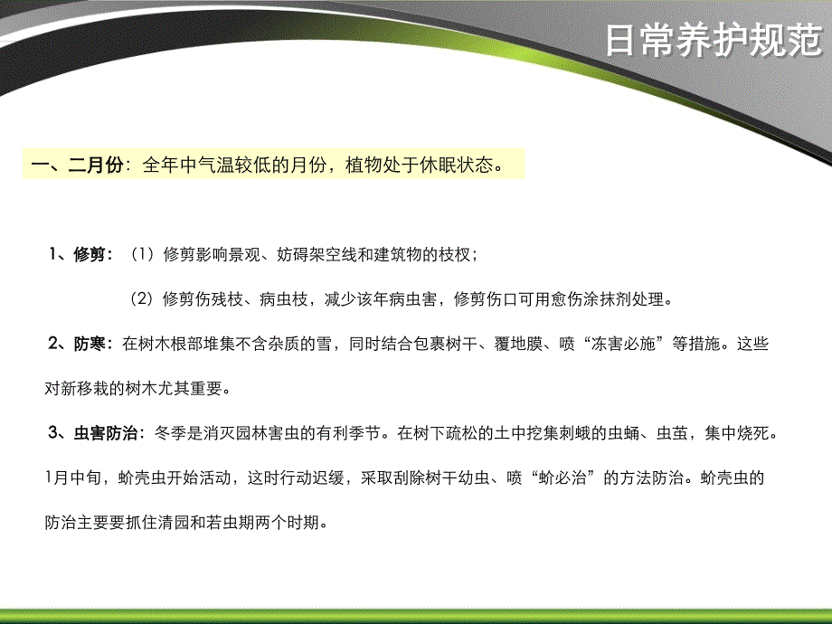 假日之星酒店日星广场绿化养护文本PPT课件教材_第3页