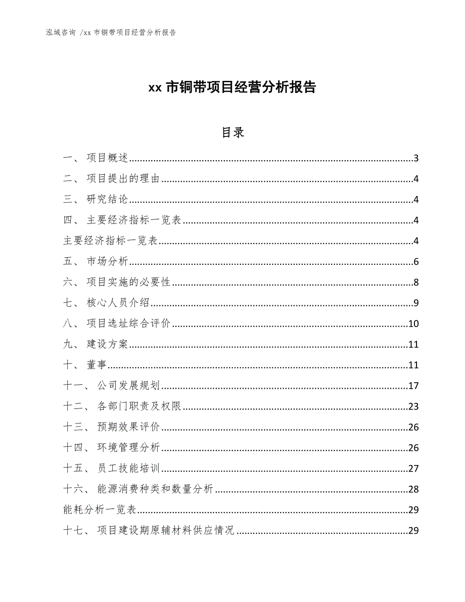 xx市铜带项目经营分析报告（范文模板）_第1页