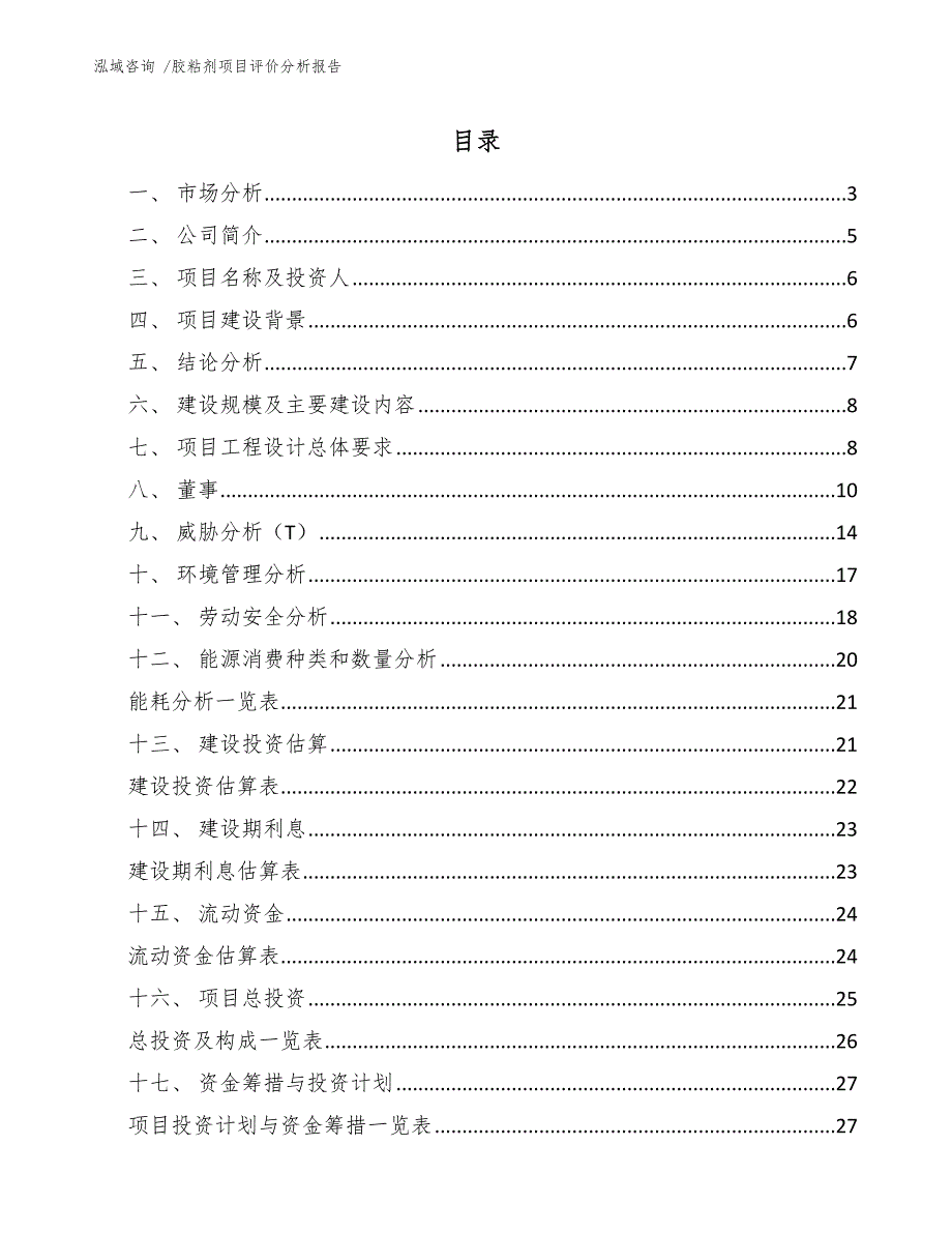 胶粘剂项目评价分析报告（范文）_第1页