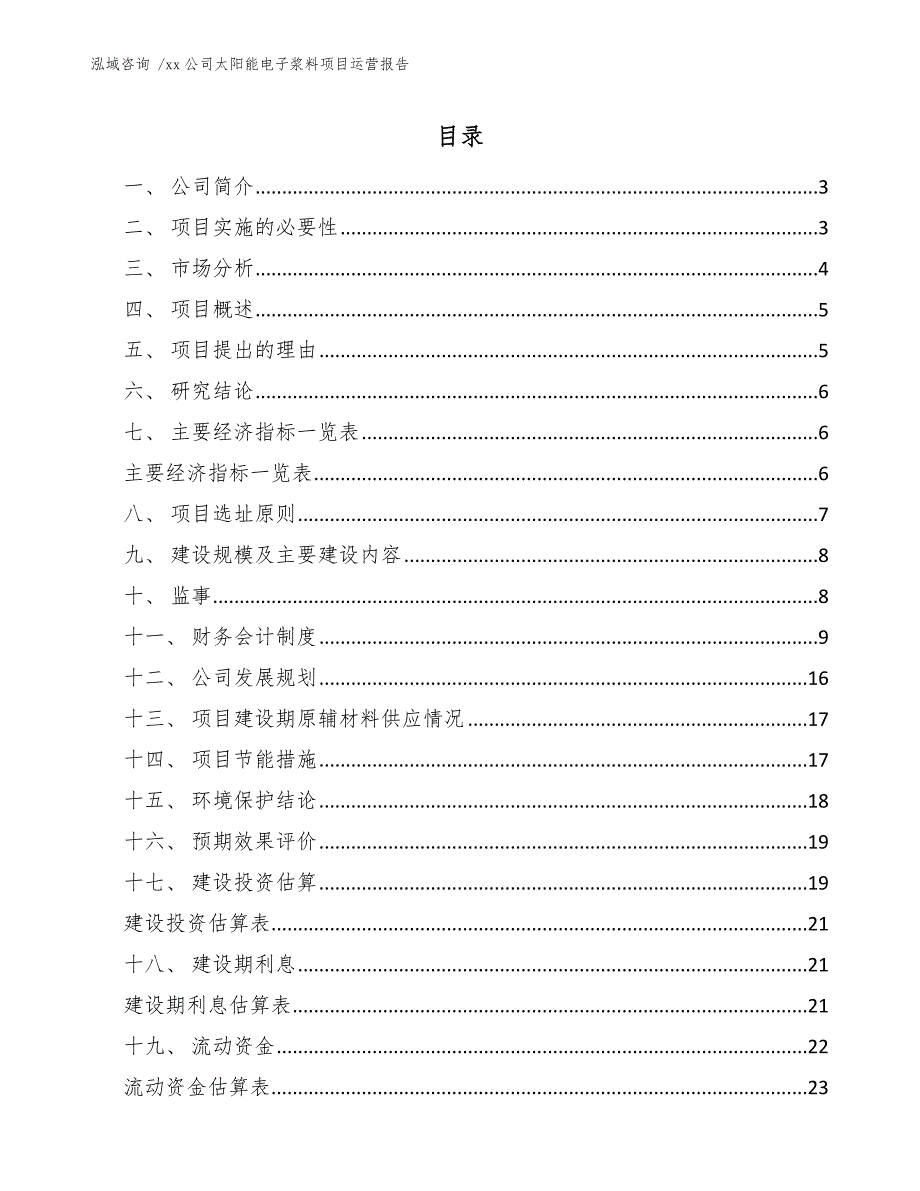 xx公司太阳能电子浆料项目运营报告（参考模板）_第1页