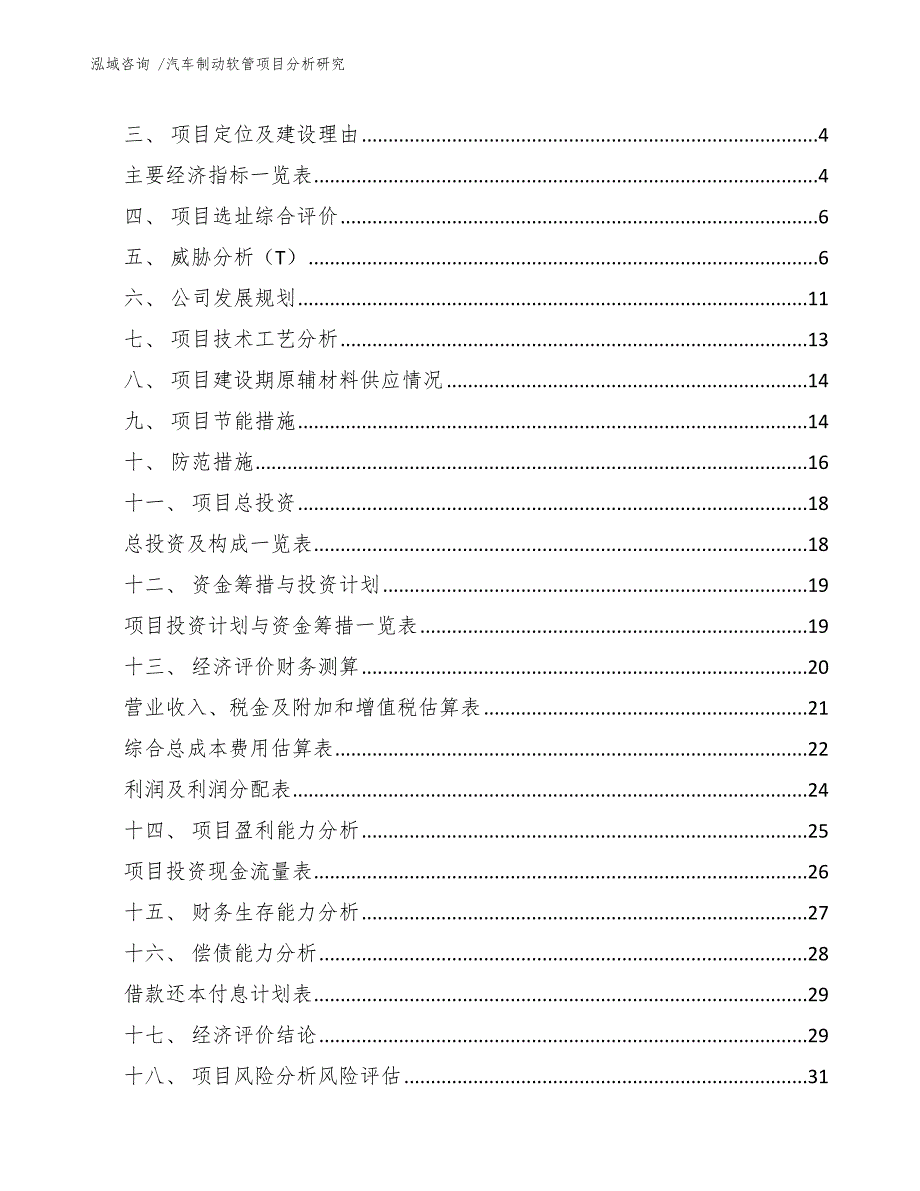 汽车制动软管项目分析研究（范文模板）_第2页