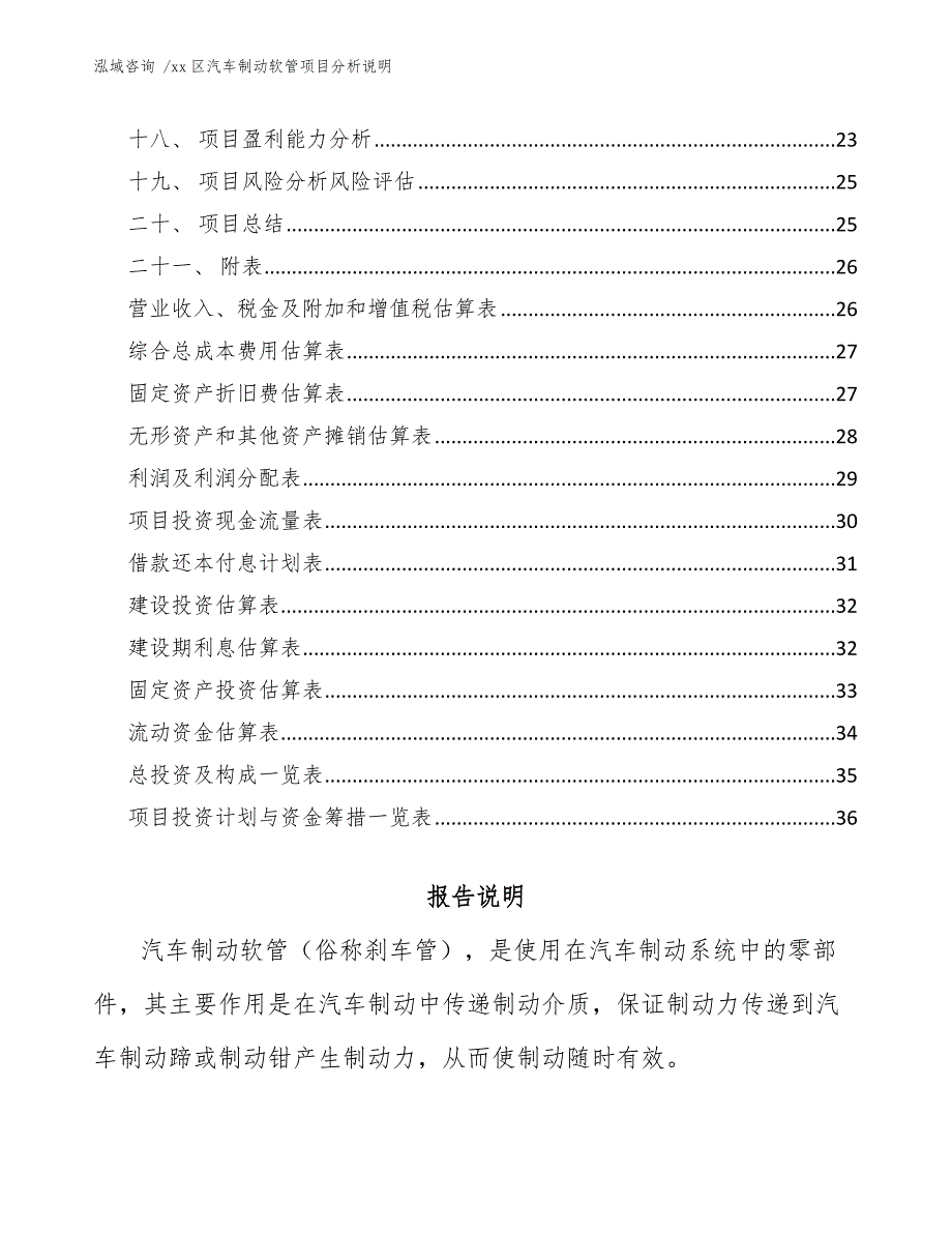 xx区汽车制动软管项目分析说明（模板参考）_第2页