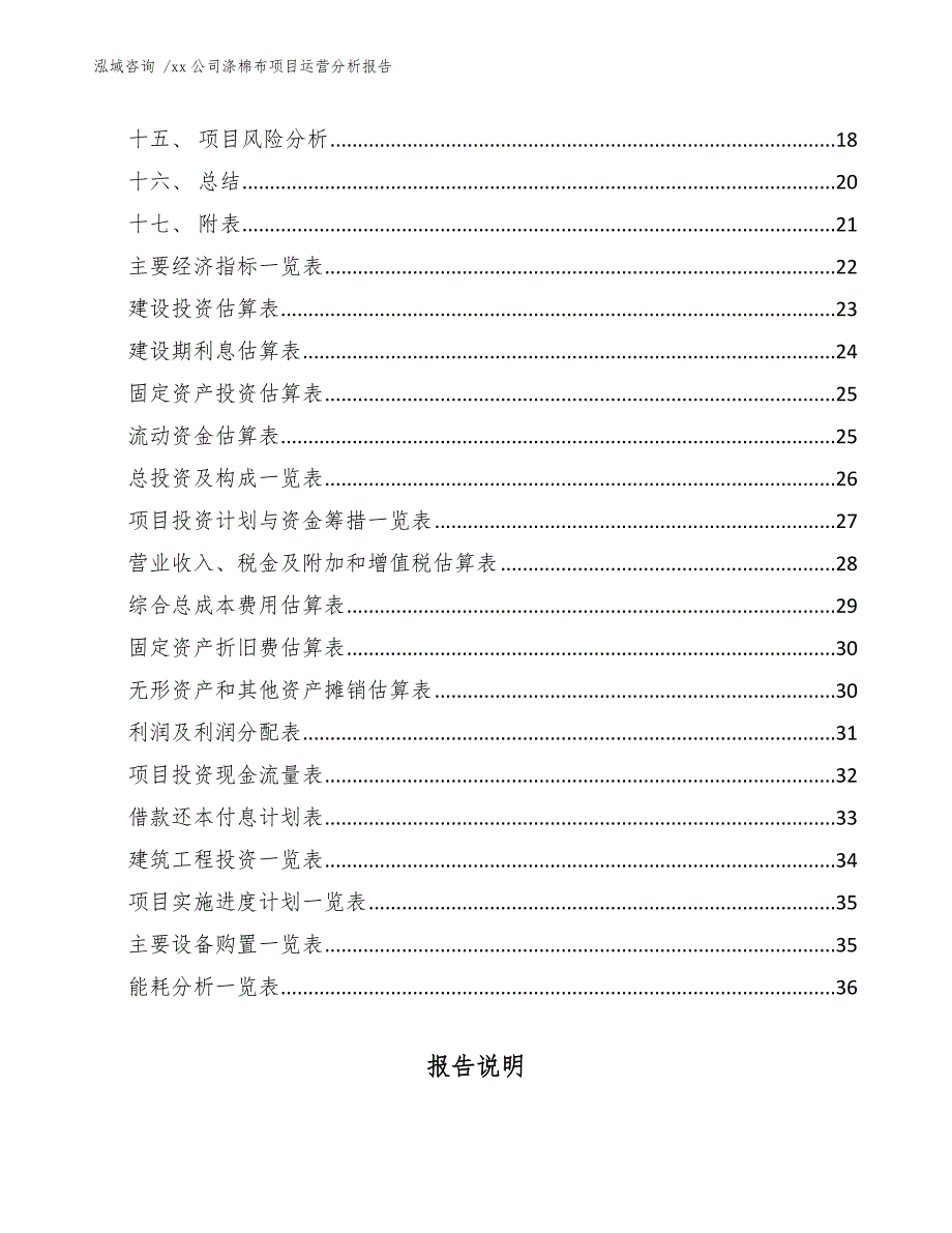 xx公司涤棉布项目运营分析报告（范文模板）_第2页