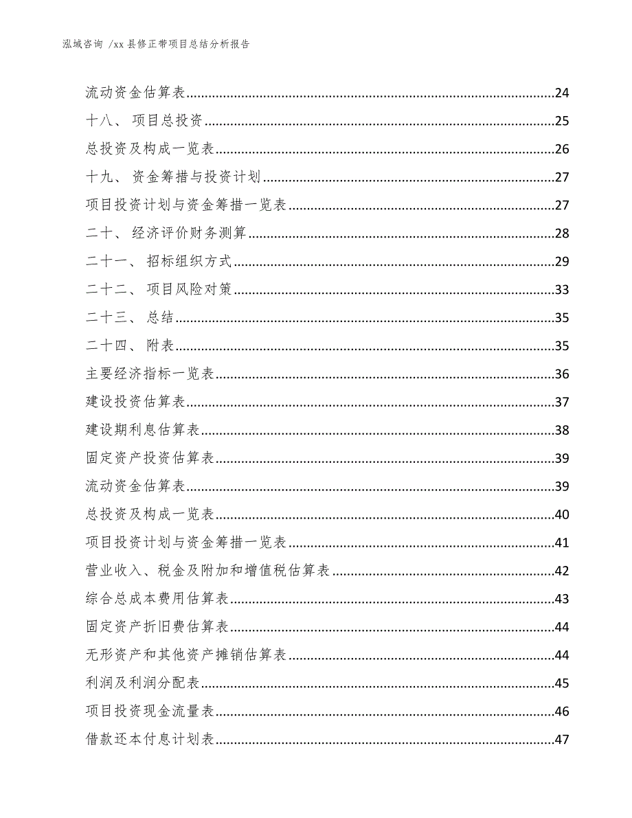 xx县修正带项目总结分析报告（参考模板）_第2页