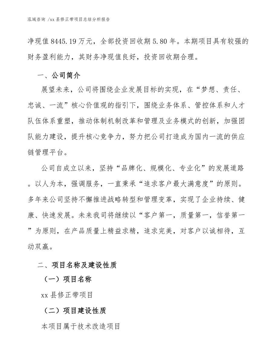 xx县修正带项目总结分析报告（参考模板）_第4页