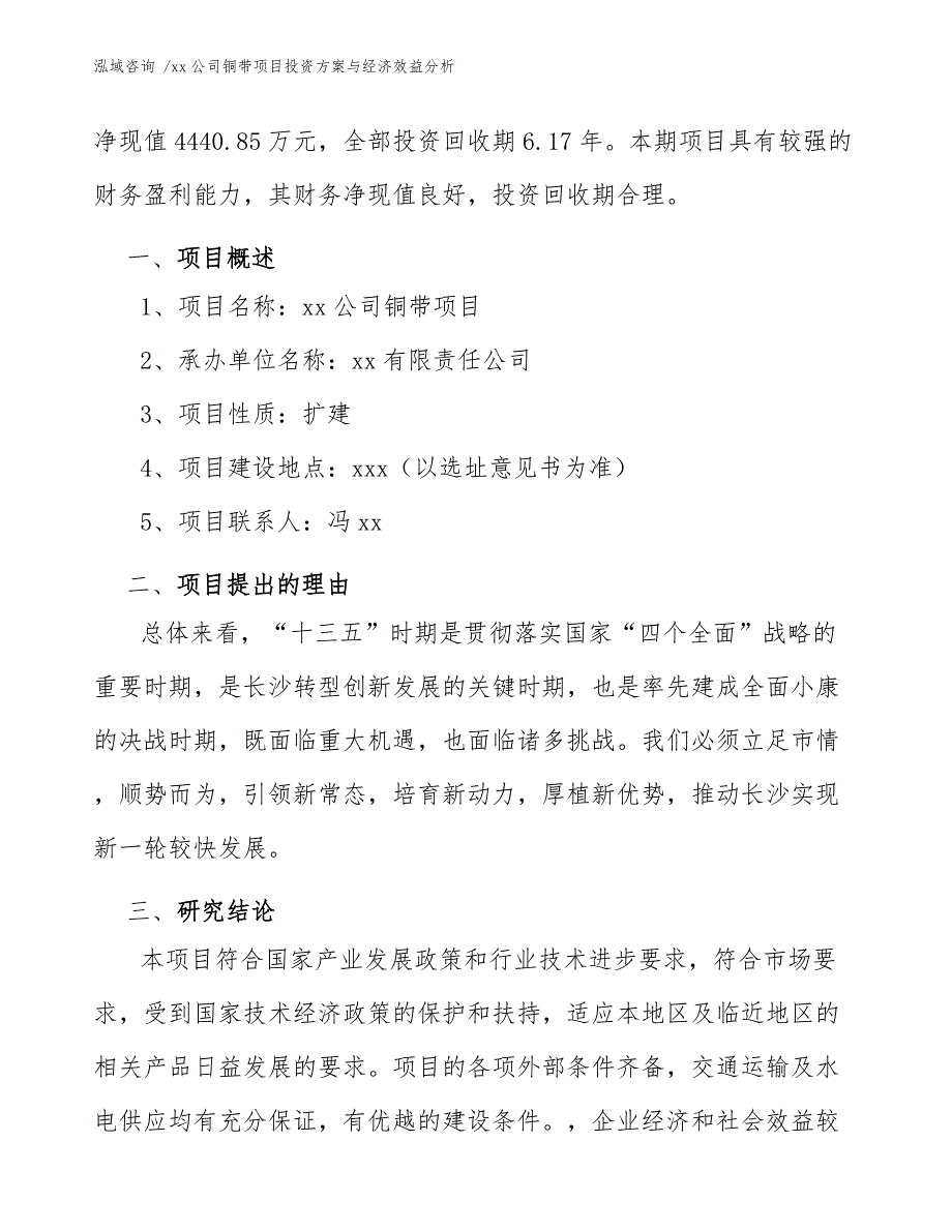 xx公司铜带项目投资方案与经济效益分析（模板范本）_第3页