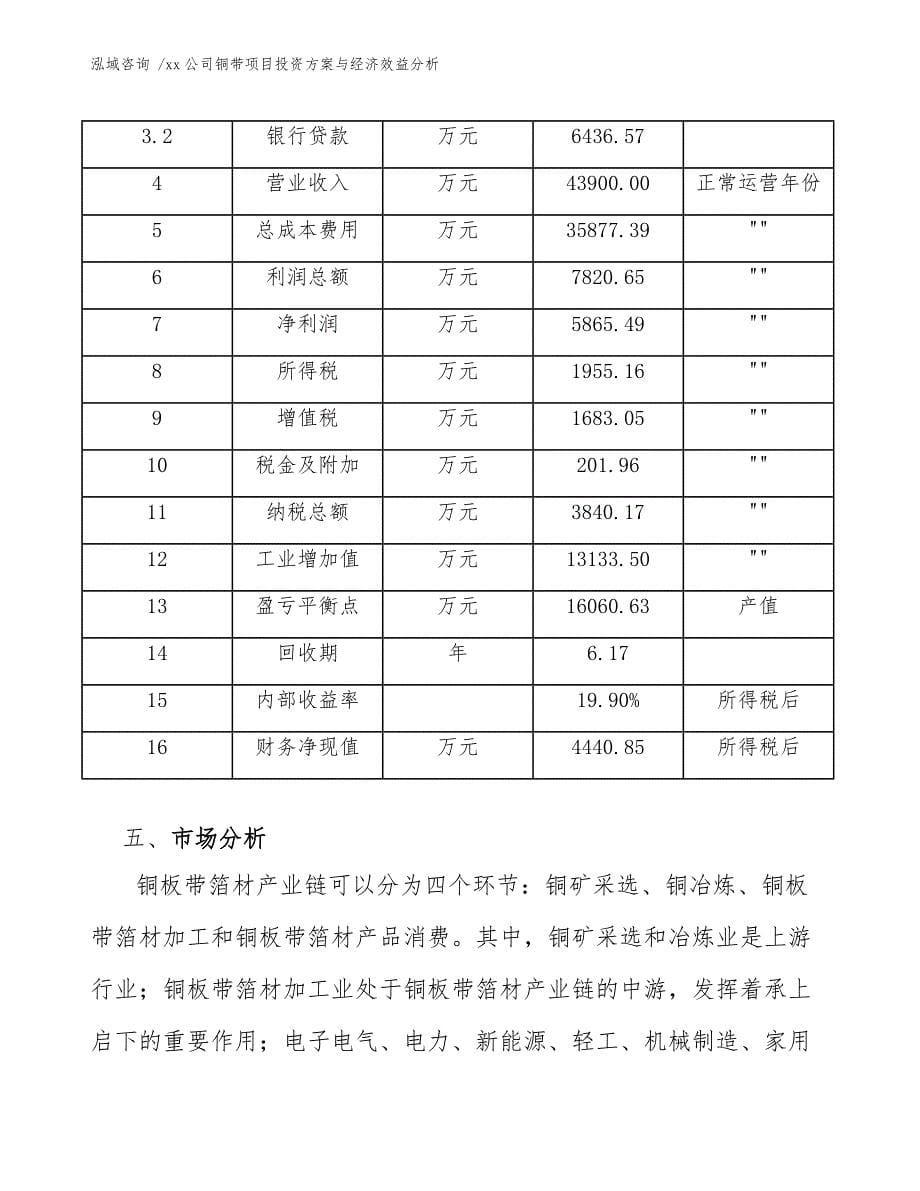 xx公司铜带项目投资方案与经济效益分析（模板范本）_第5页