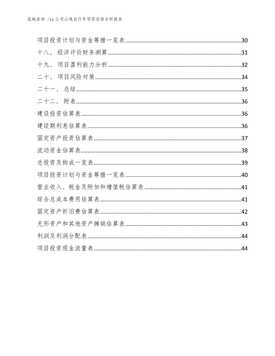 xx公司山地自行车项目总结分析报告（范文模板）_第3页