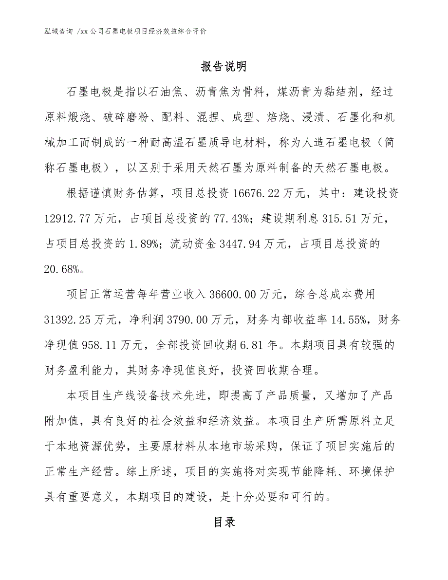 xx公司石墨电极项目经济效益综合评价（模板）_第1页