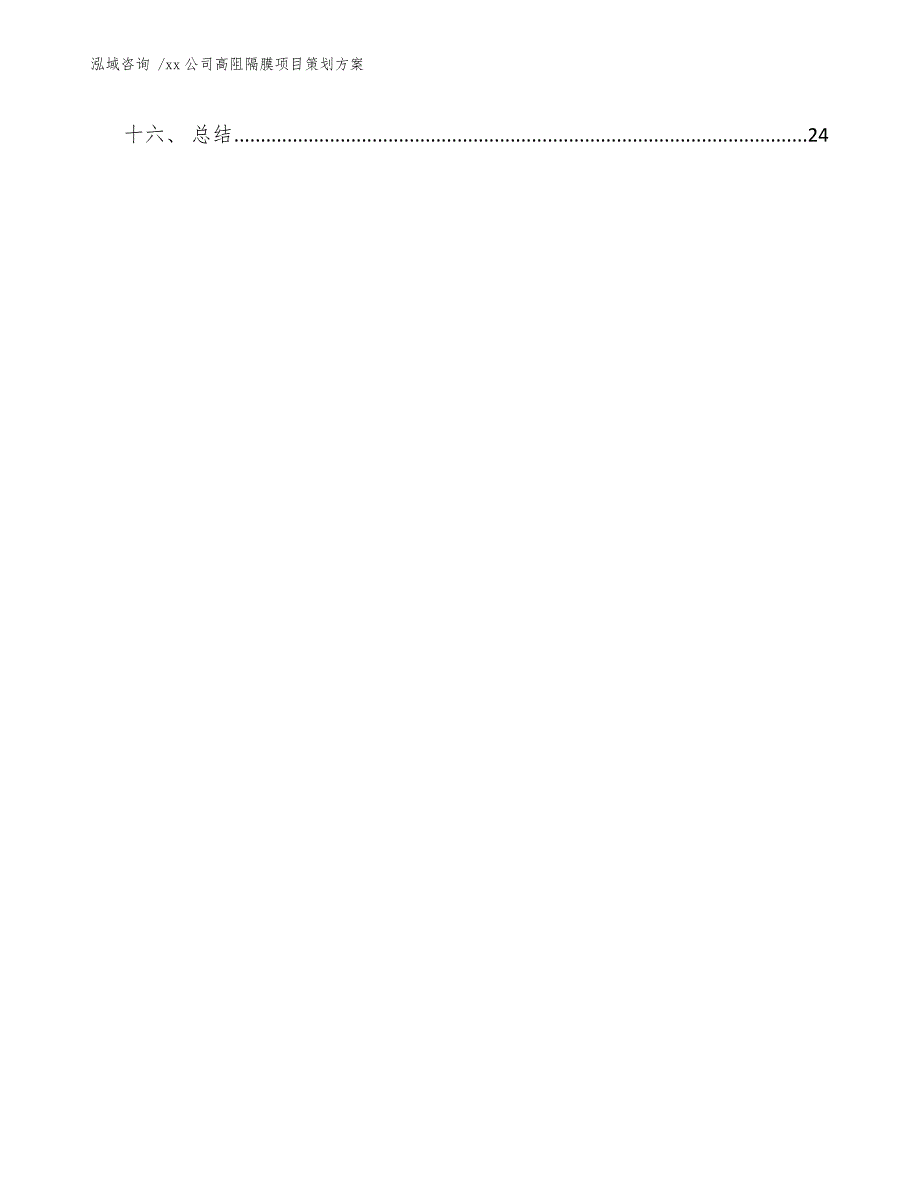 xx公司高阻隔膜项目策划方案（范文参考）_第2页