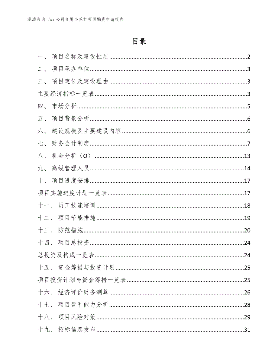 xx公司食用小苏打项目融资申请报告（参考模板）_第1页