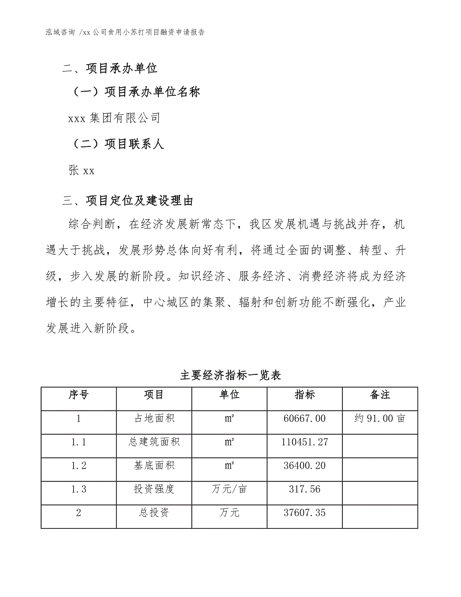 xx公司食用小苏打项目融资申请报告（参考模板）_第3页