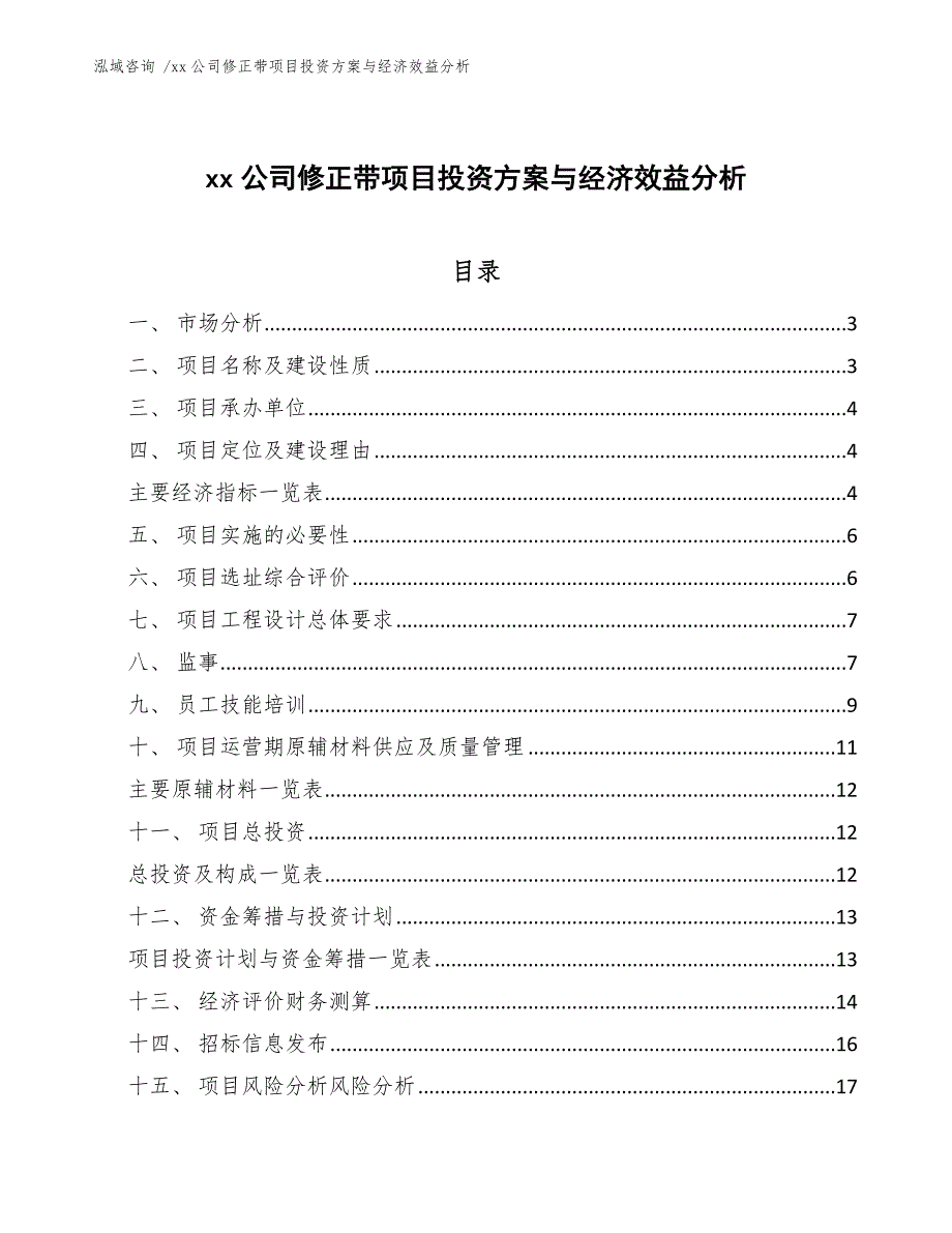 xx公司修正带项目投资方案与经济效益分析（参考模板）_第1页