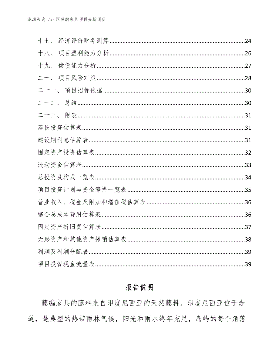 xx区藤编家具项目分析调研（参考范文）_第3页