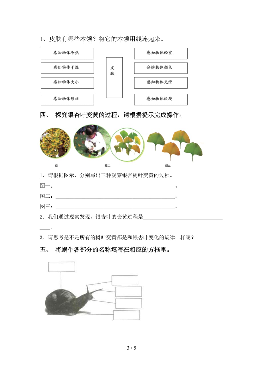 教科版一年级科学上册第一次月考测试卷及答案【下载】_第3页