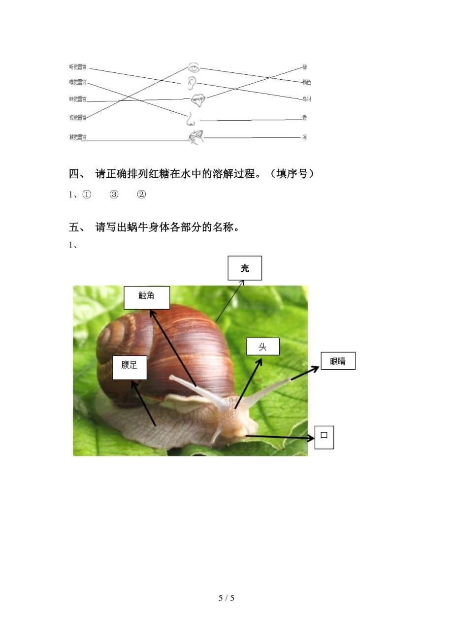 2021年苏教版一年级科学上册期中试卷（汇编）_第5页