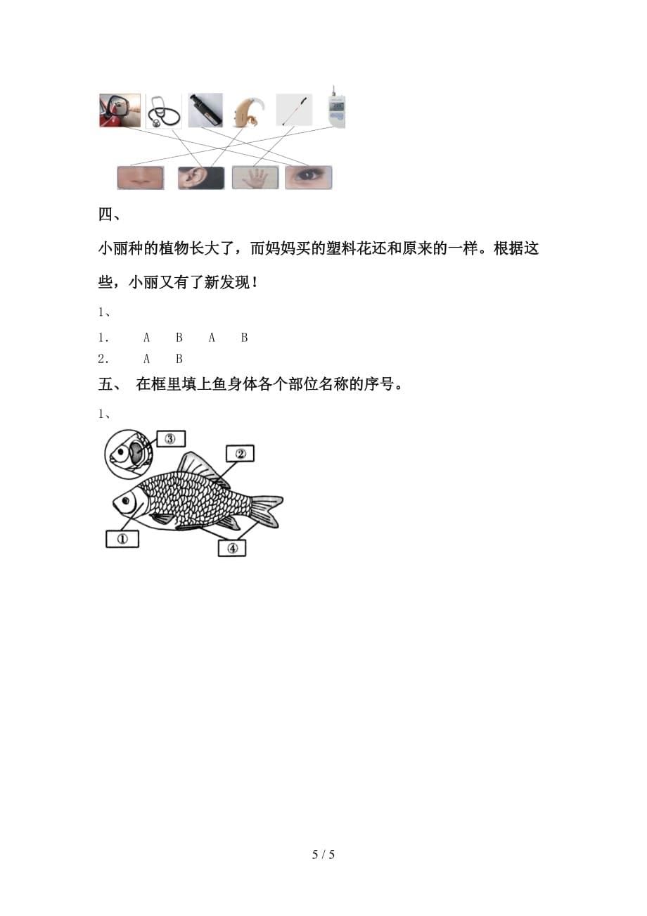 湘教版一年级科学上册期中考试卷（最新）_第5页