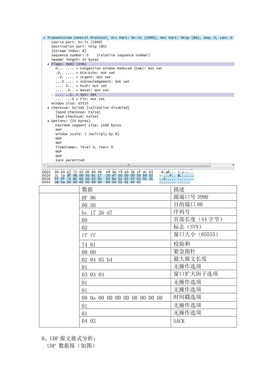 （参考）网络协议：传输层协议报文信息分析_第5页