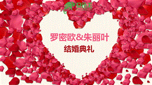 玫瑰红封面淡蓝底经典婚礼循环播放精美PPT！
