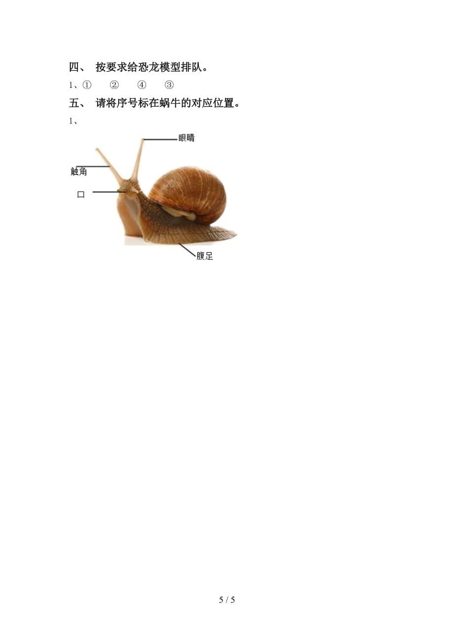 大象版一年级科学上册第一次月考考试卷（精品）_第5页